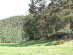 2009-08-17 0125