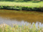 2009-08-17 0119