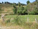 2009-08-17 0126