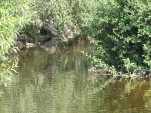 2009-08-17 0130