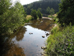 2009-08-18 0005