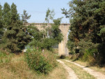 2009-08-18 0012