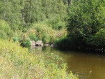 2009-08-17 0120