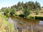 2009-08-18 0008