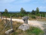 gevaudan 0011