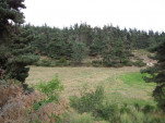 2009-08-19 0210